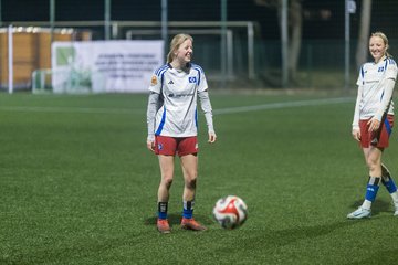 Bild 445 - wBJ Hamburger SV - Eimsbuettler TV 2 : Ergebnis: 16:0